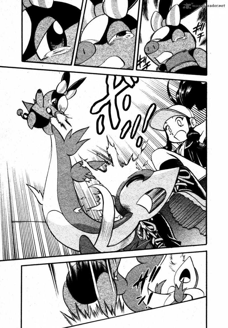 Pokemon Special Black White 11 13