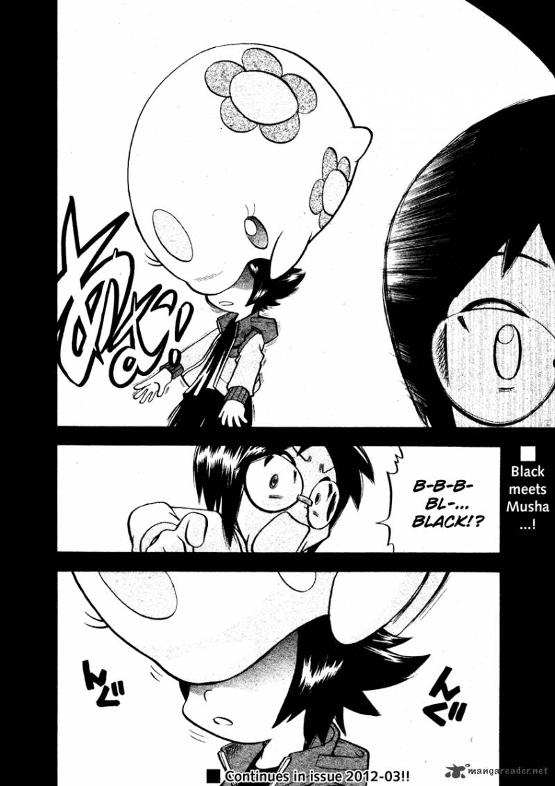 Pokemon Special Black White 15 21