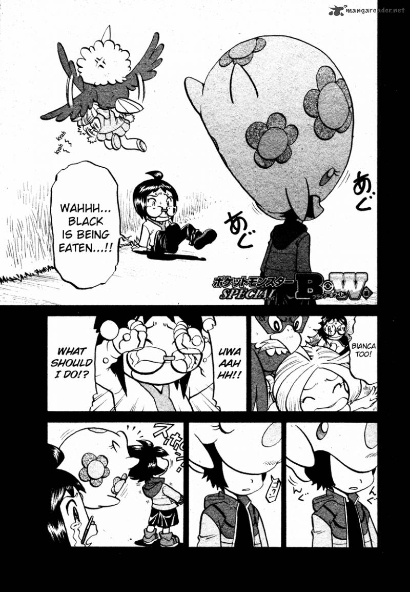 Pokemon Special Black White 16 1