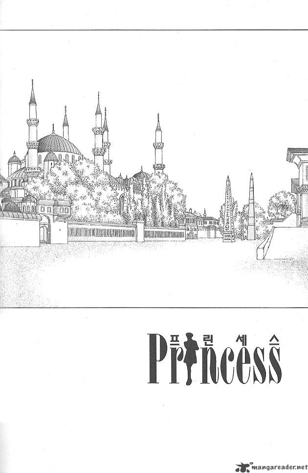 Princess 26 35