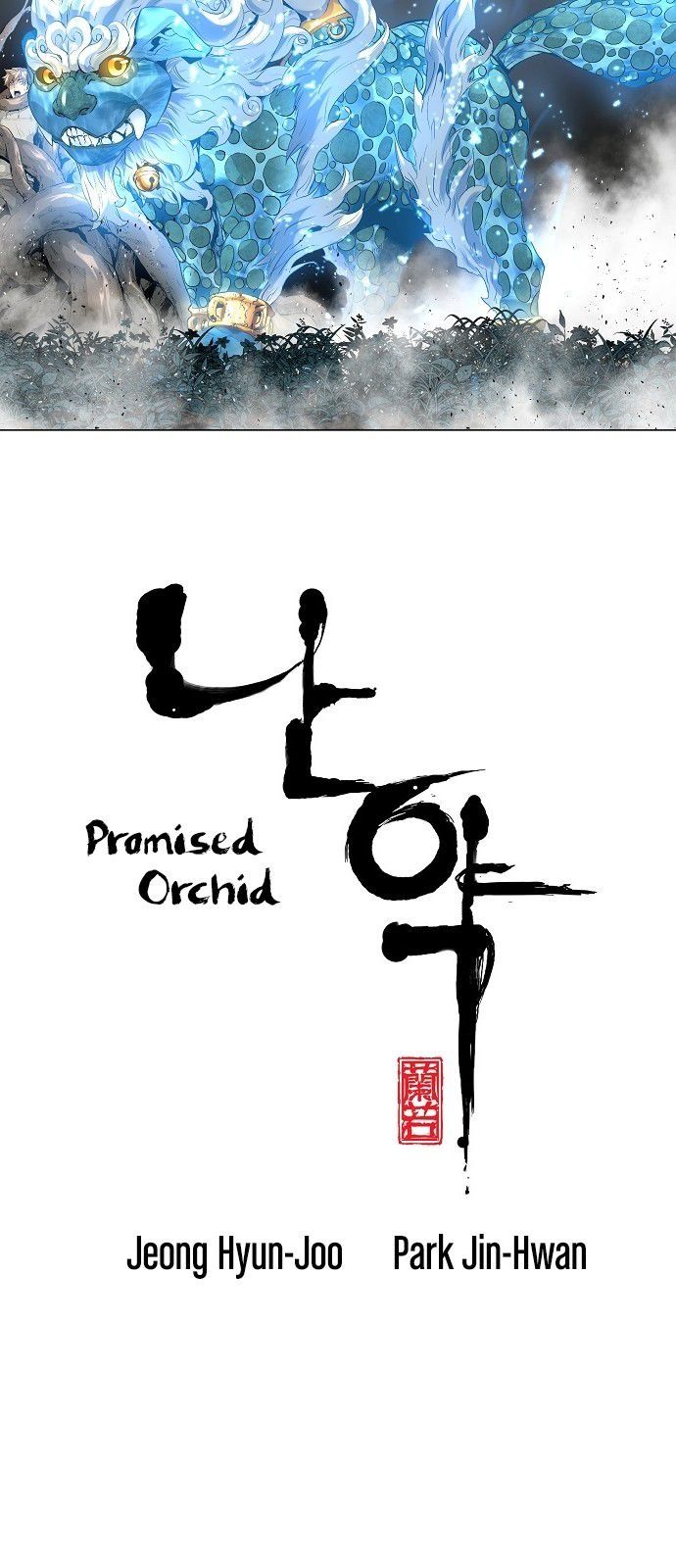 Promised Orchid 9 2