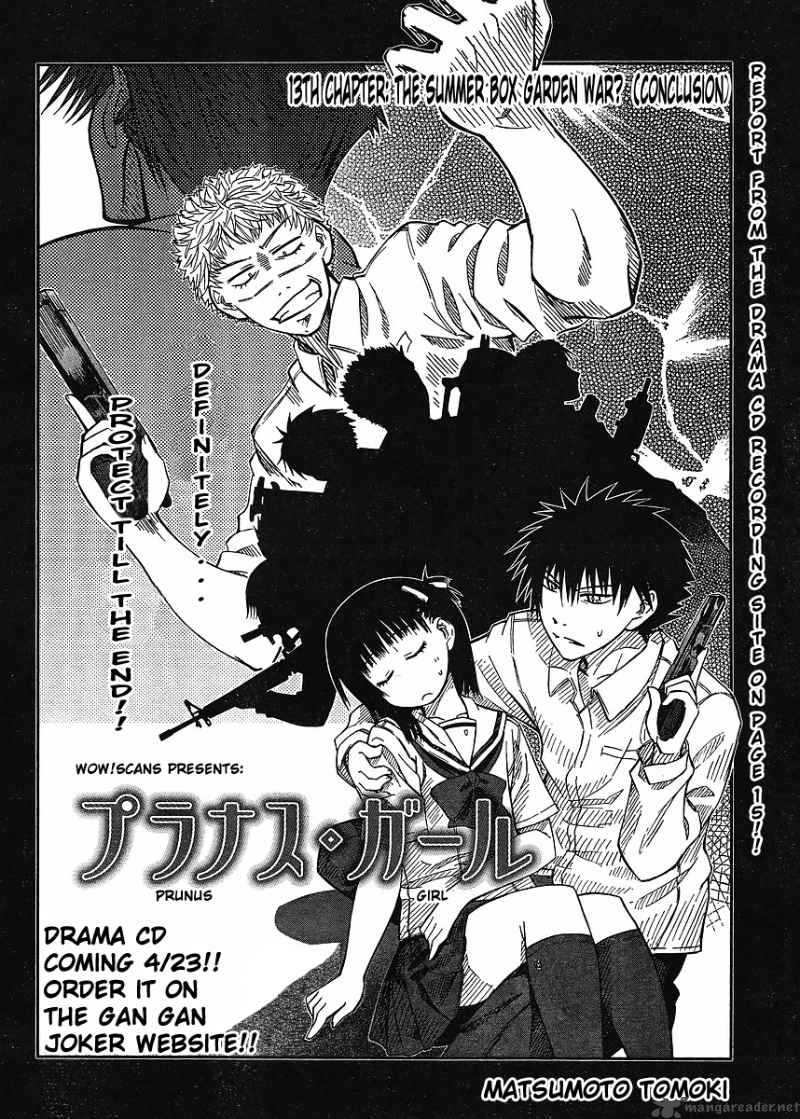 Prunus Girl 13 2