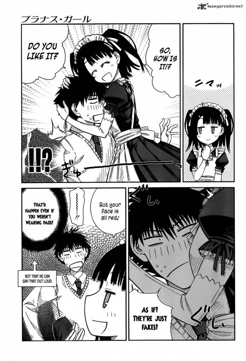 Prunus Girl 27 7