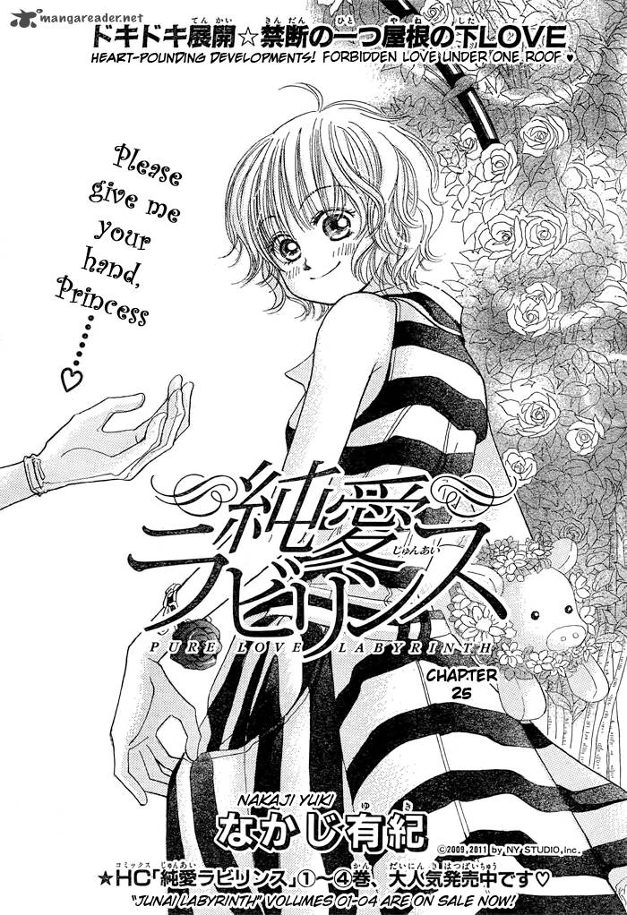 Pure Love Labyrinth 25 1