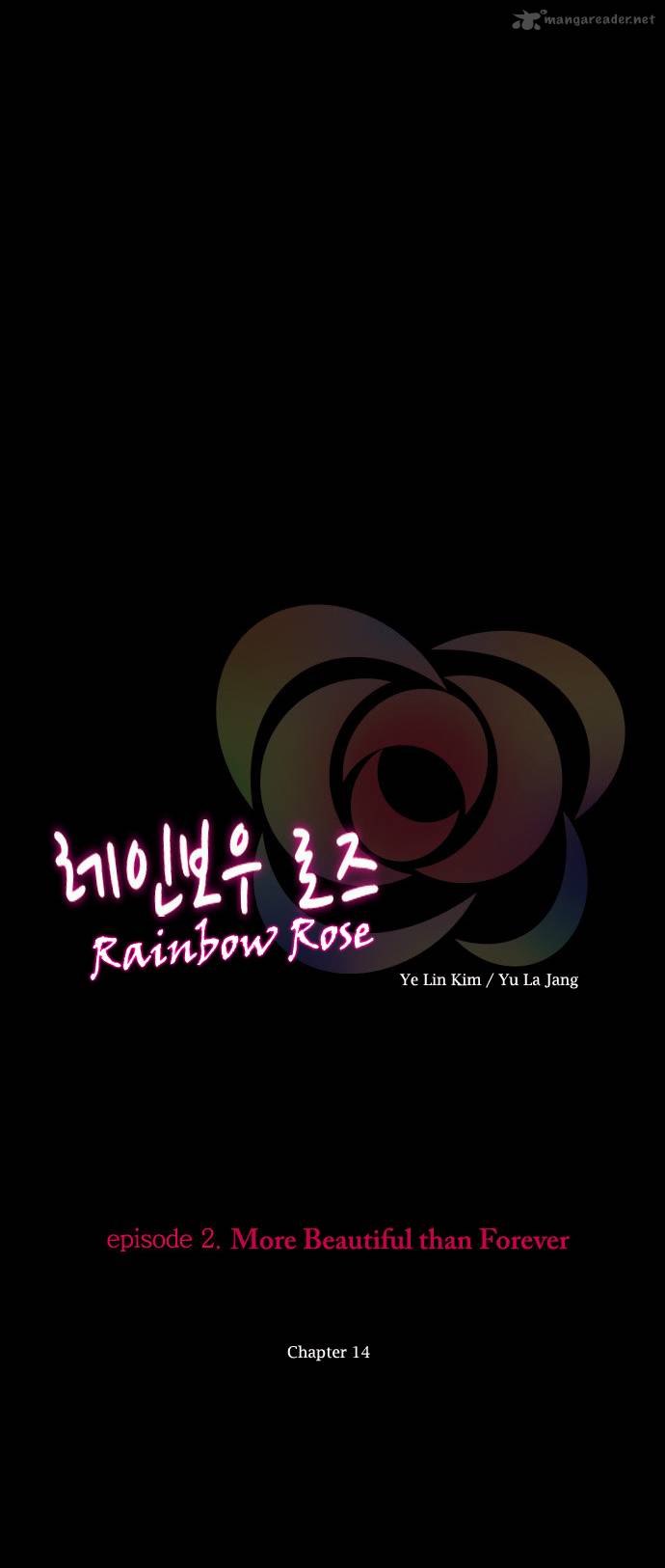 Rainbow Rose 14 7