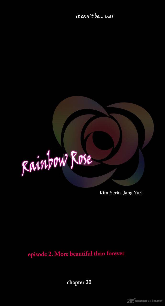 Rainbow Rose 20 4