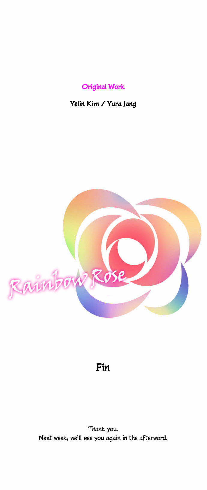 Rainbow Rose 26 28