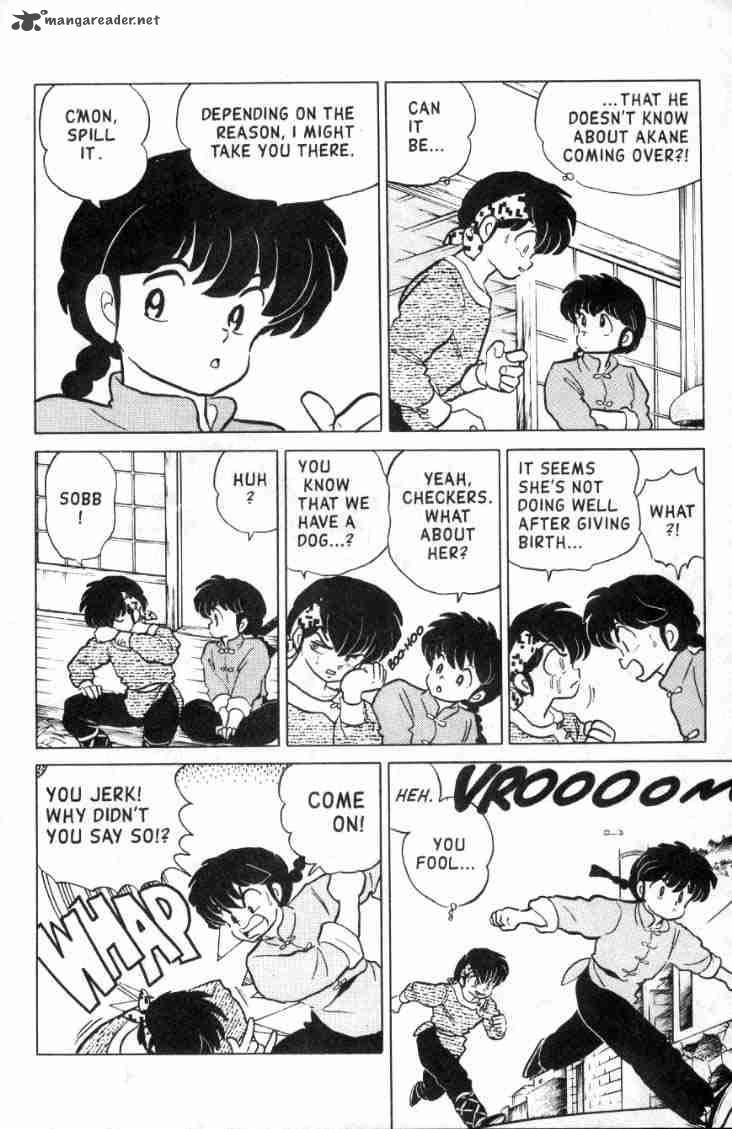 Ranma 1 2 11 13