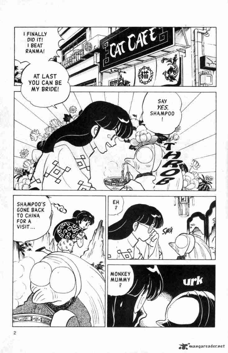 Ranma 1 2 13 39