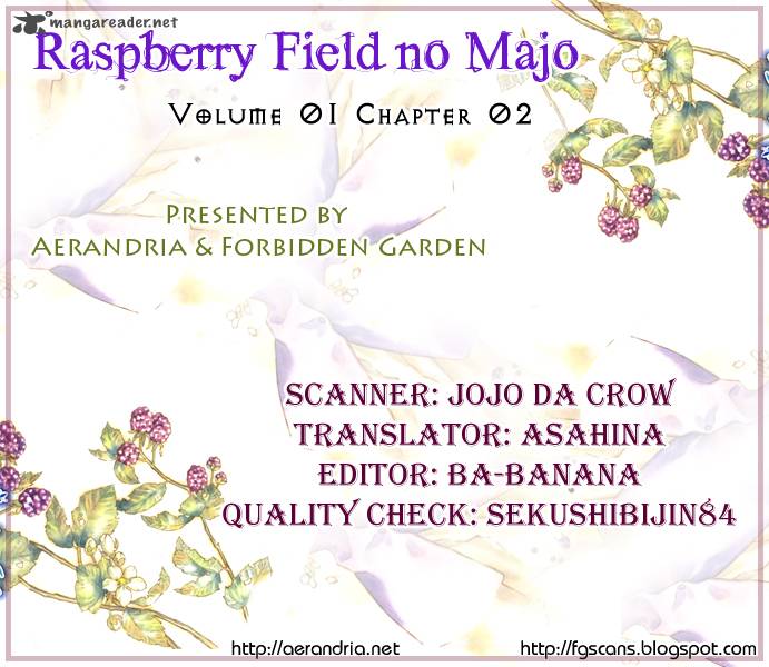 Raspberry Field No Majo 2 2