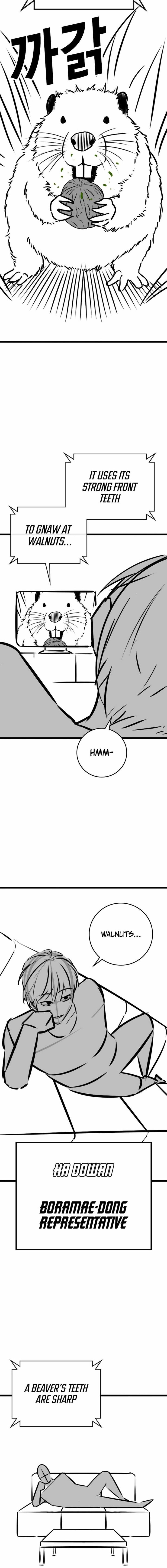 Reality Quest 164a 2