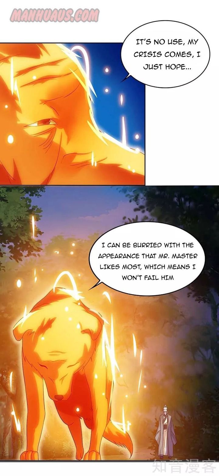 Reborn 80000 Years 77 6