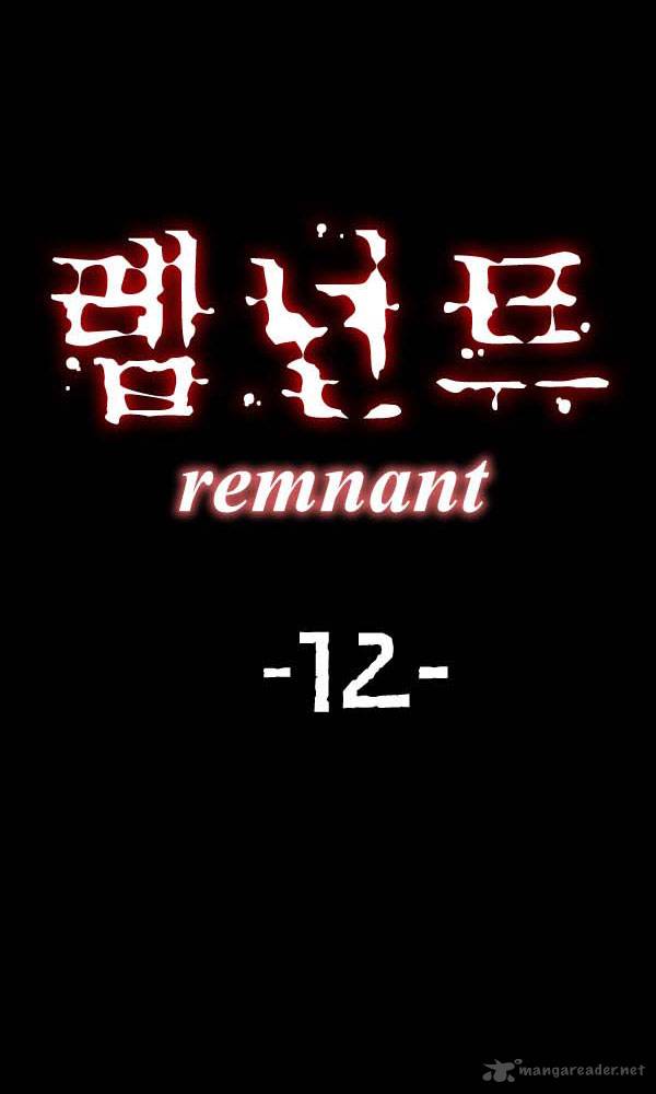 Remnant 12 2