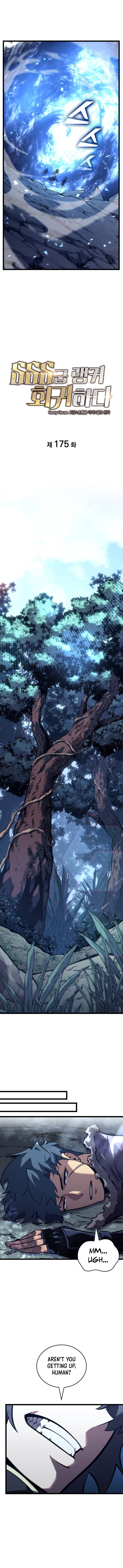 Return Of The Sss Class Ranker 175 10