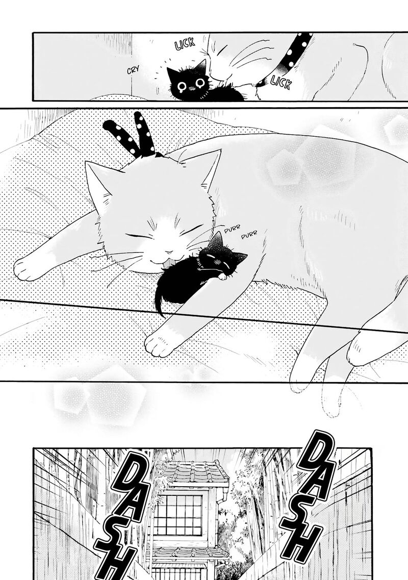 Rokuhoudou Yotsuiro Biyori 11 13
