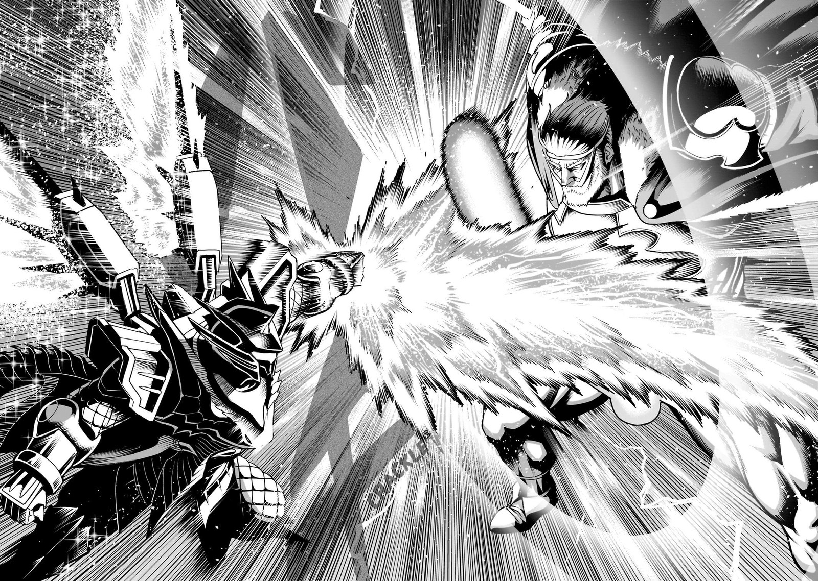 Rosen Garten Saga 62 20