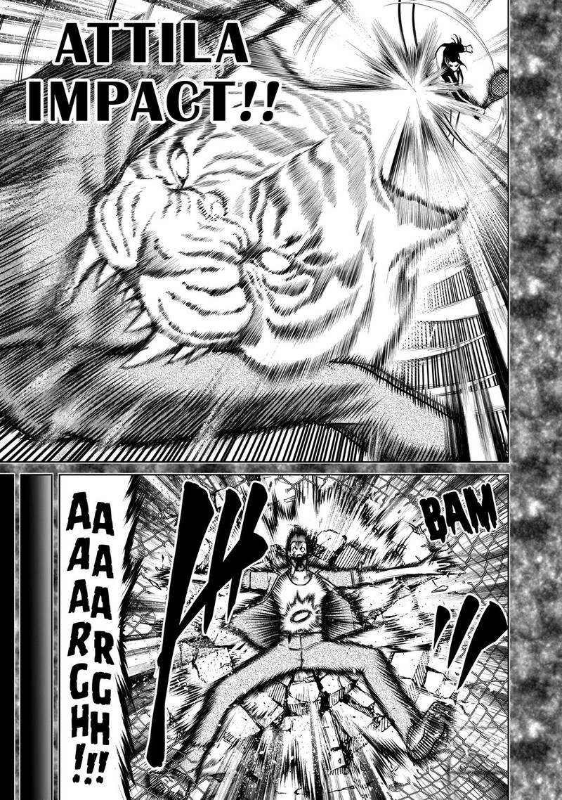 Rosen Garten Saga 81 21