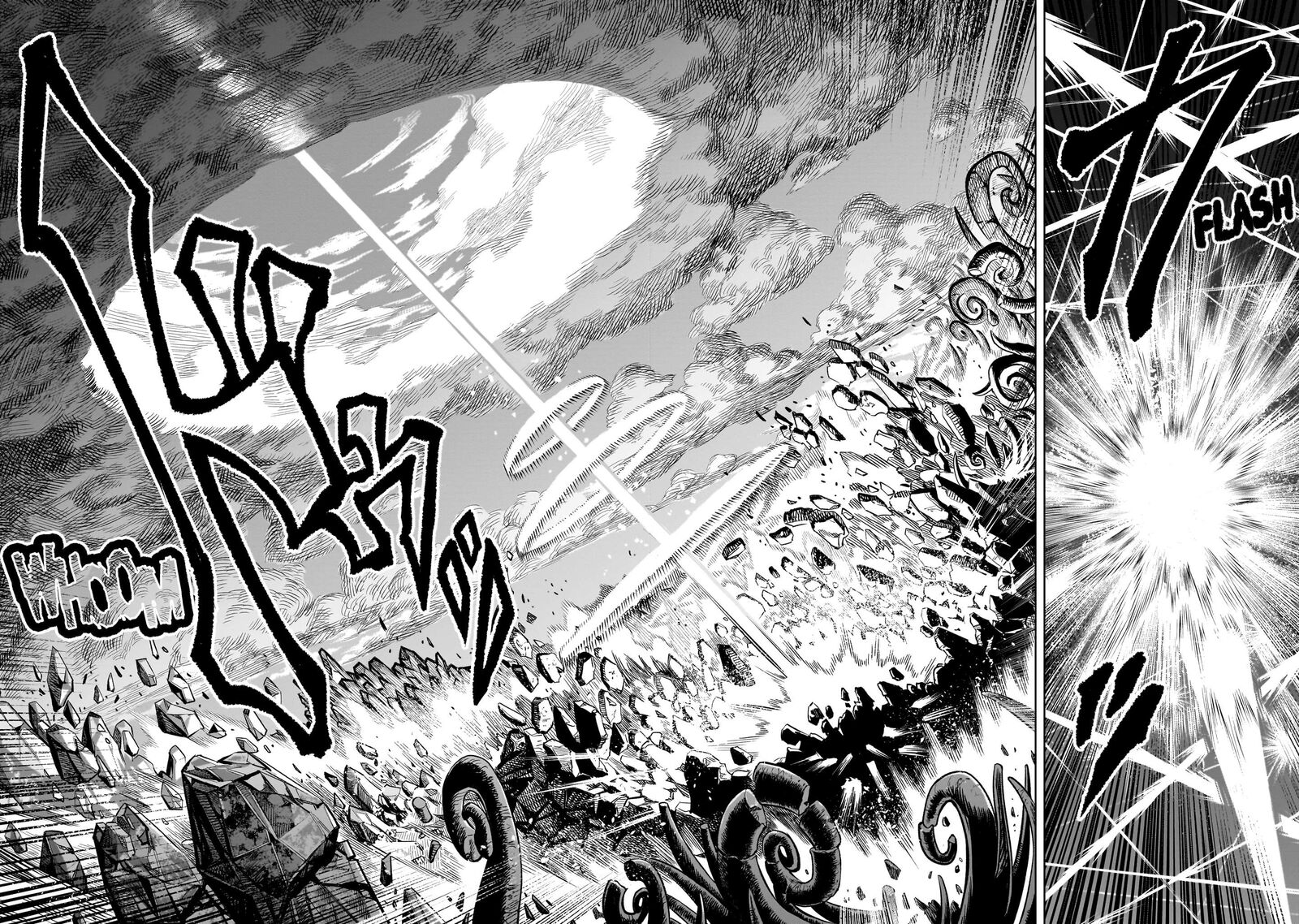 Rosen Garten Saga 93 9