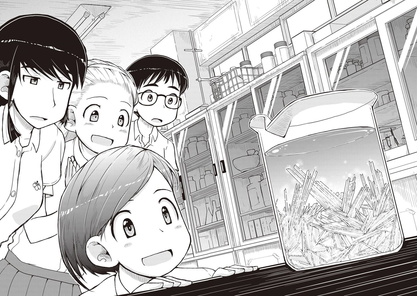 Ruri No Houseki 25 30