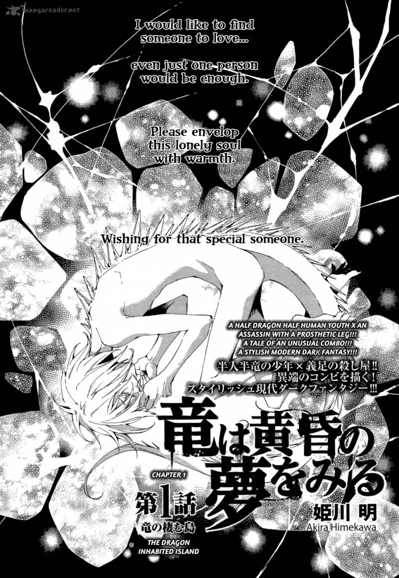 Ryuu Wa Tasogare No Yume O Miru 1 3