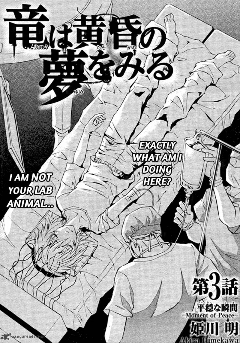Ryuu Wa Tasogare No Yume O Miru 3 3