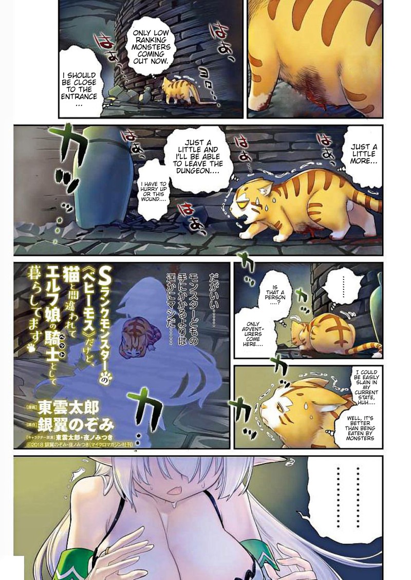 S Rank Monster No Behemoth Dakedo Neko To Machigawarete Erufu Musume No Kishi Pet Toshite Kurashitemasu 1 1
