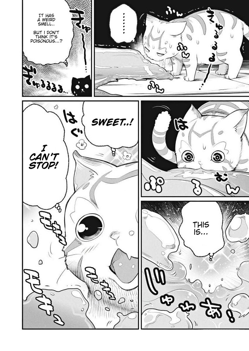 S Rank Monster No Behemoth Dakedo Neko To Machigawarete Erufu Musume No Kishi Pet Toshite Kurashitemasu 1 12