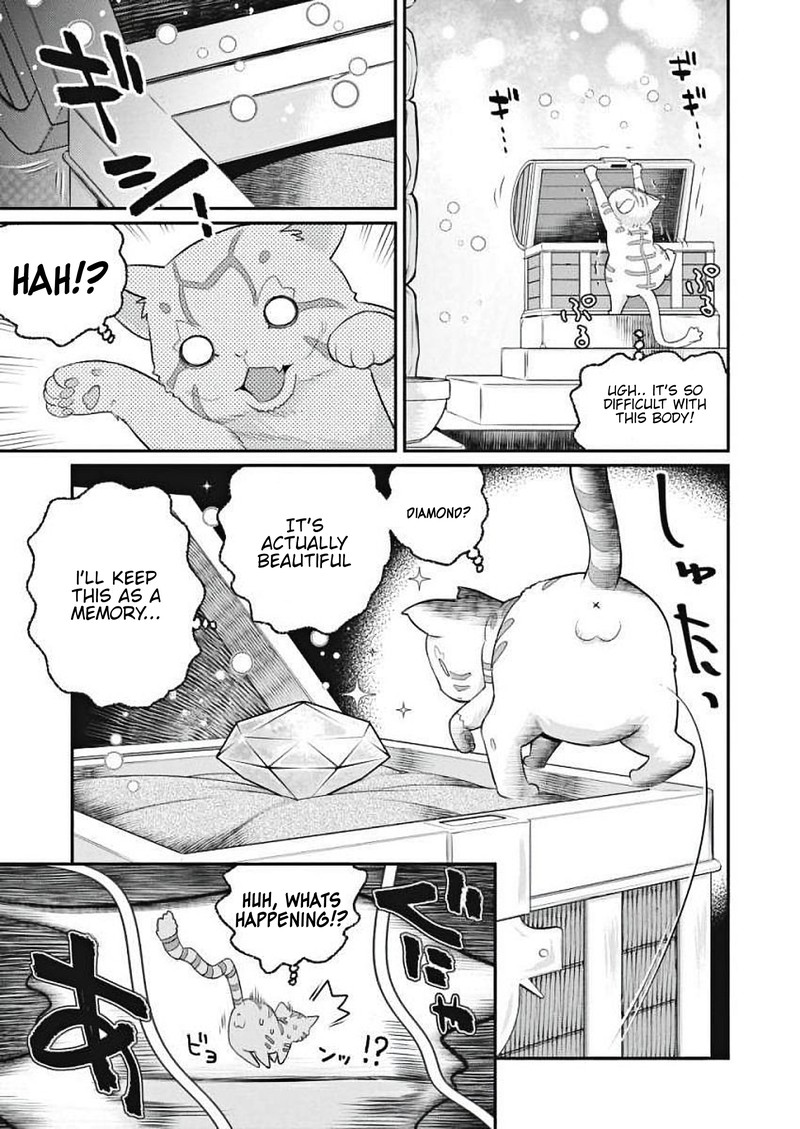 S Rank Monster No Behemoth Dakedo Neko To Machigawarete Erufu Musume No Kishi Pet Toshite Kurashitemasu 1 17