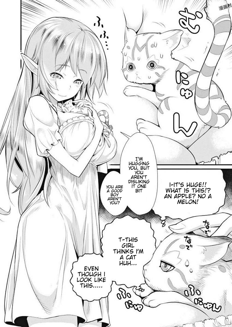 S Rank Monster No Behemoth Dakedo Neko To Machigawarete Erufu Musume No Kishi Pet Toshite Kurashitemasu 1 8