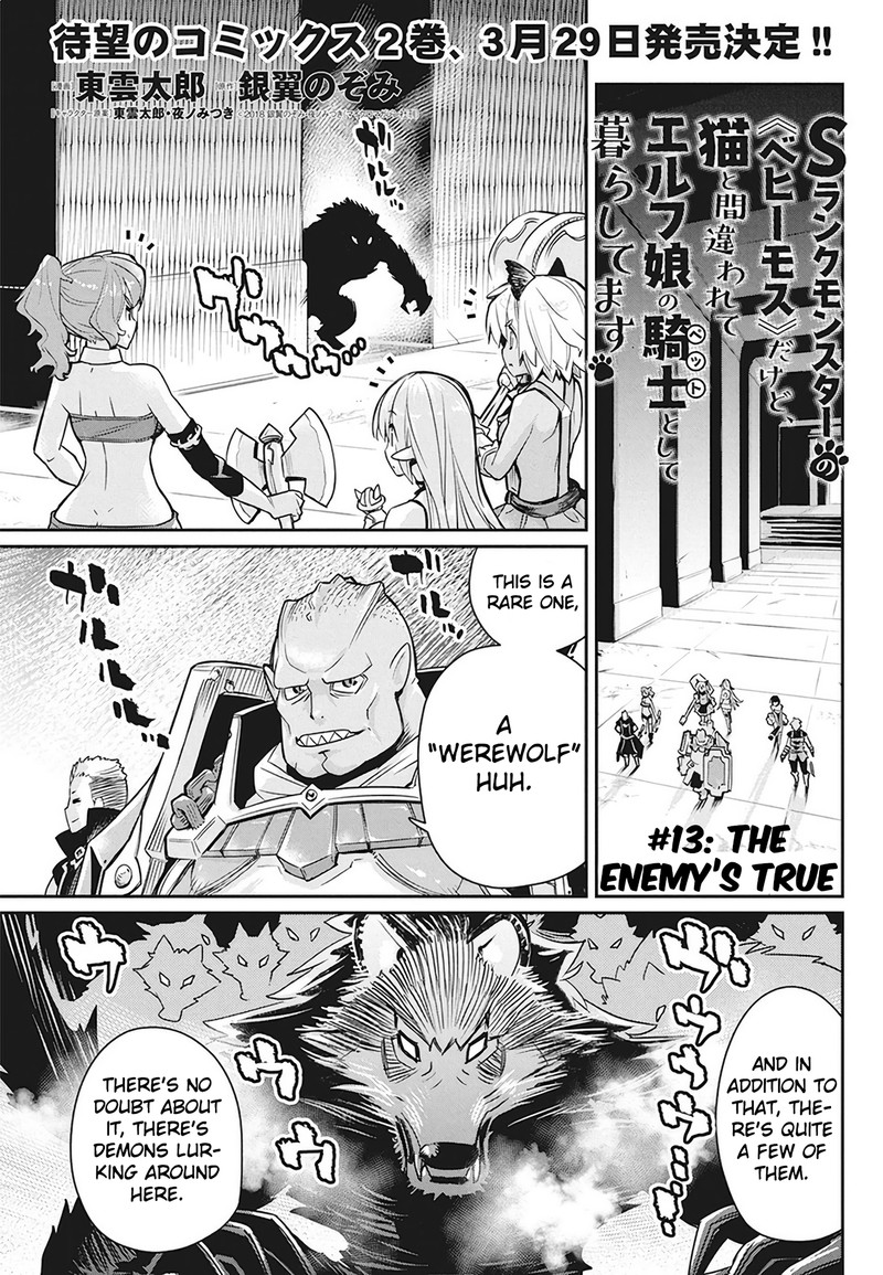 S Rank Monster No Behemoth Dakedo Neko To Machigawarete Erufu Musume No Kishi Pet Toshite Kurashitemasu 13 1