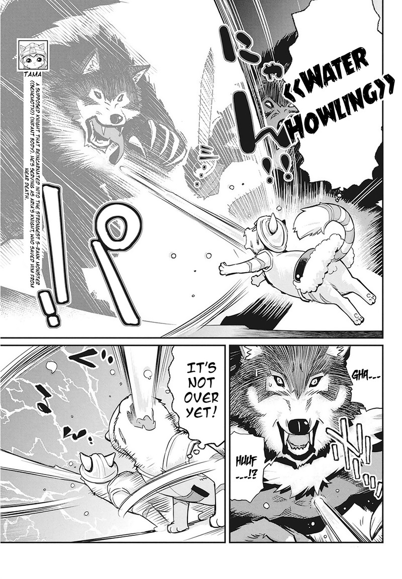 S Rank Monster No Behemoth Dakedo Neko To Machigawarete Erufu Musume No Kishi Pet Toshite Kurashitemasu 13 7