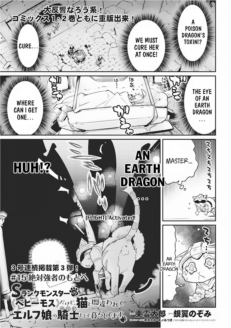 S Rank Monster No Behemoth Dakedo Neko To Machigawarete Erufu Musume No Kishi Pet Toshite Kurashitemasu 15 1