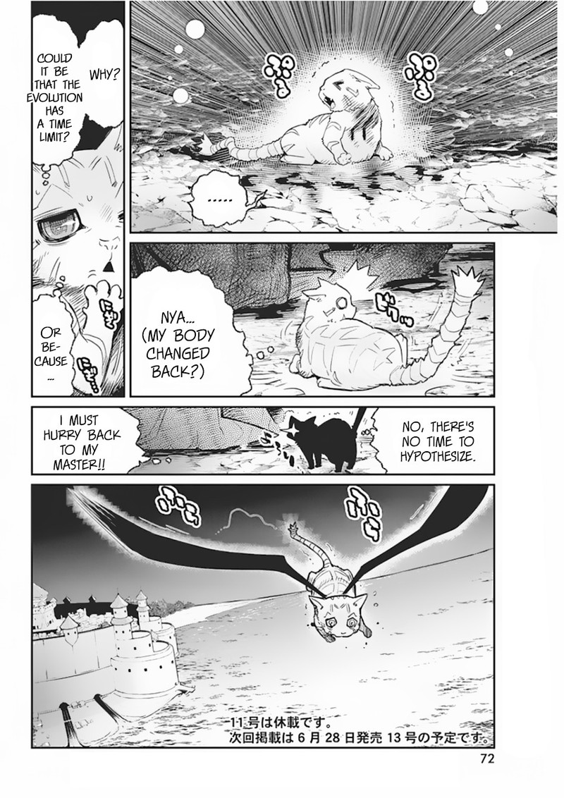 S Rank Monster No Behemoth Dakedo Neko To Machigawarete Erufu Musume No Kishi Pet Toshite Kurashitemasu 15 18