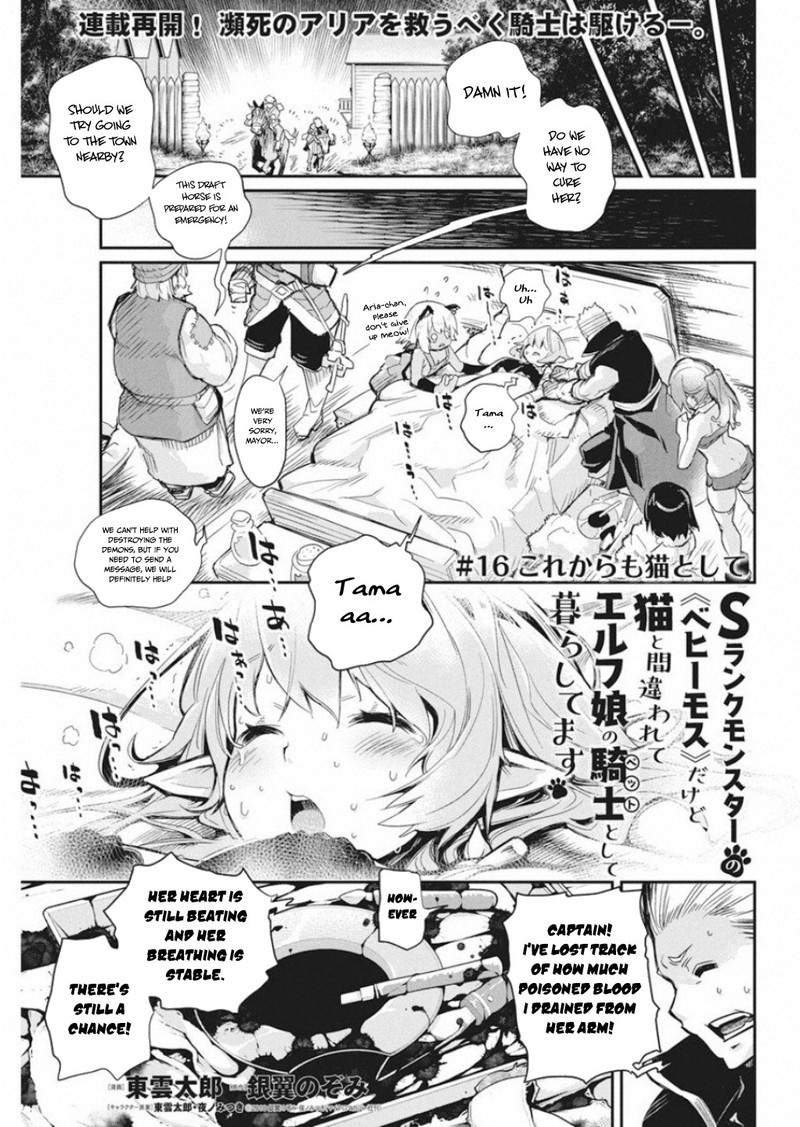 S Rank Monster No Behemoth Dakedo Neko To Machigawarete Erufu Musume No Kishi Pet Toshite Kurashitemasu 16 1