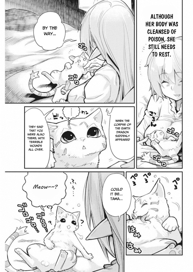 S Rank Monster No Behemoth Dakedo Neko To Machigawarete Erufu Musume No Kishi Pet Toshite Kurashitemasu 16 9