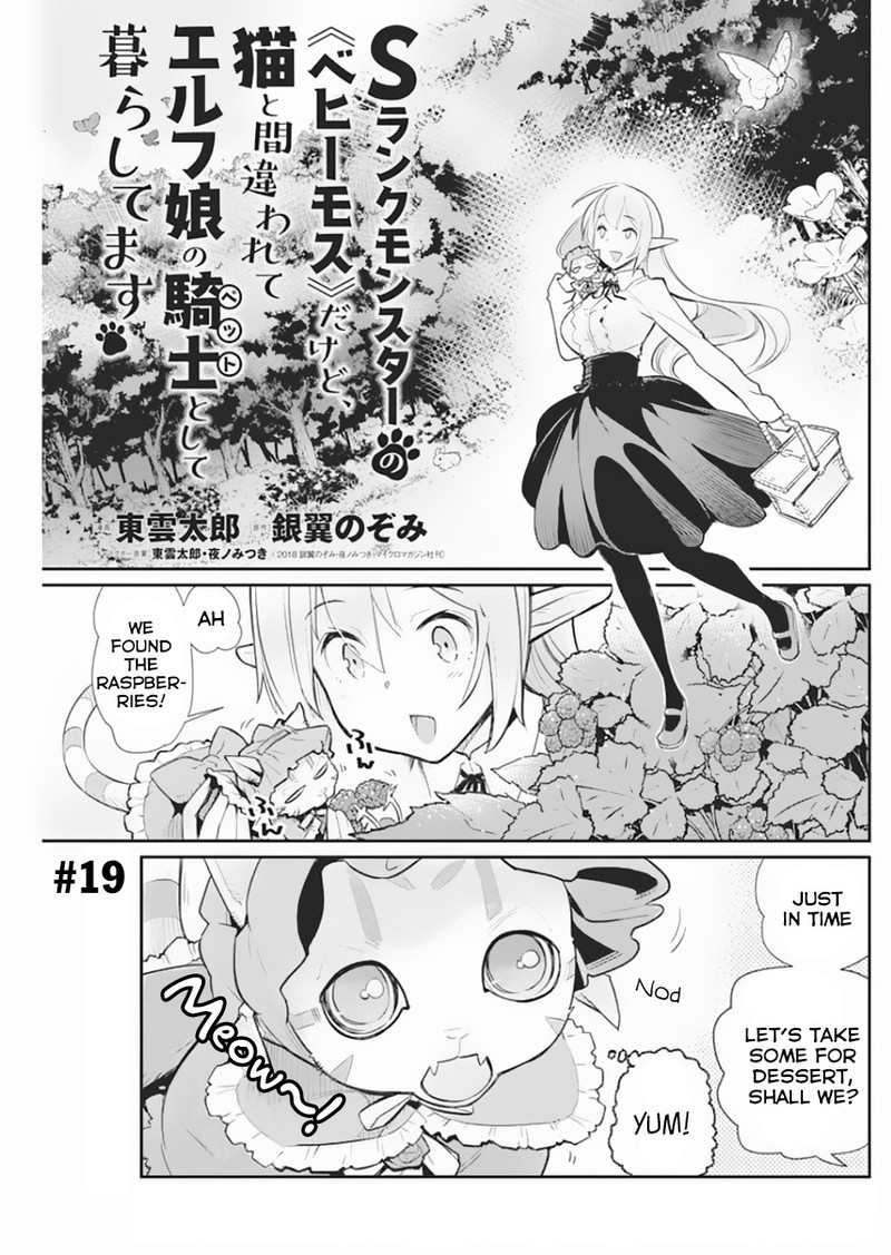S Rank Monster No Behemoth Dakedo Neko To Machigawarete Erufu Musume No Kishi Pet Toshite Kurashitemasu 19 1