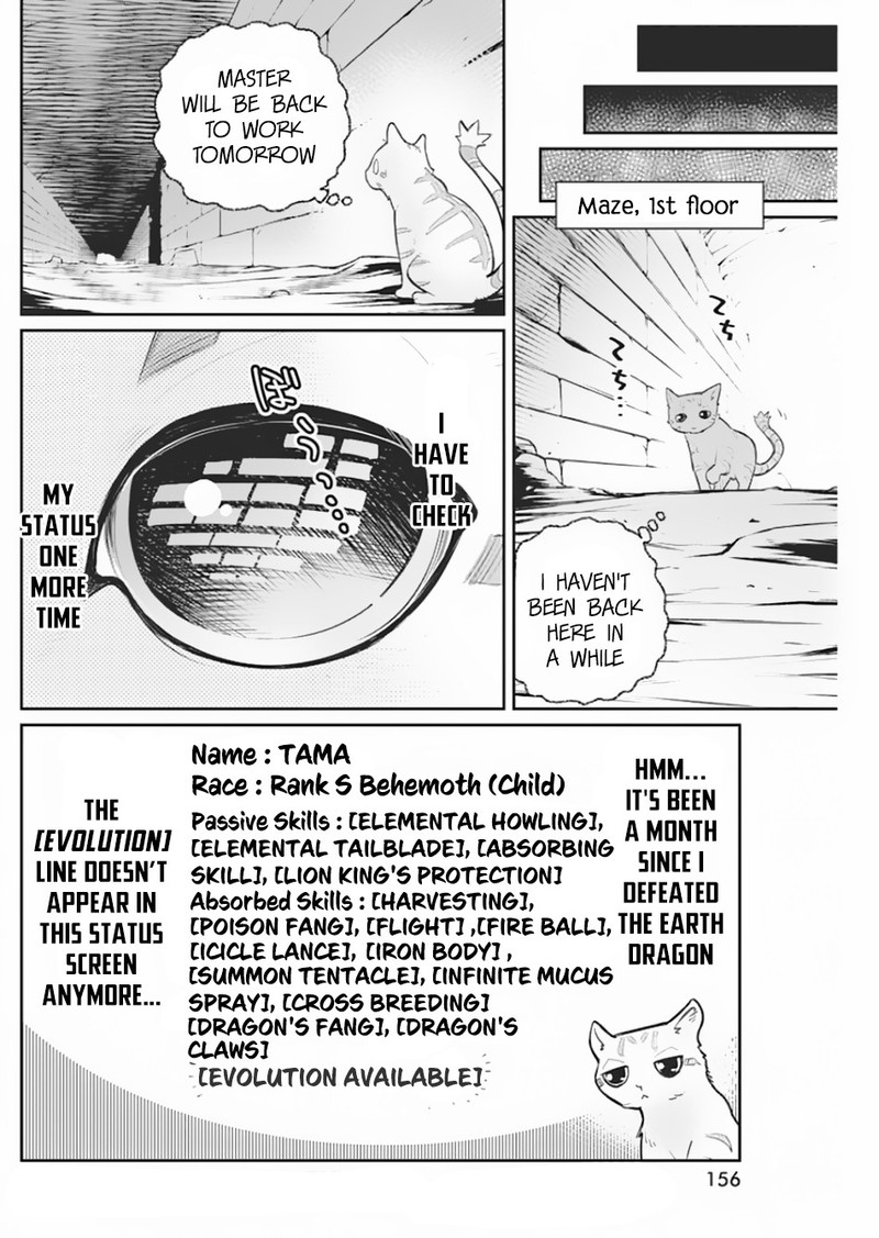 S Rank Monster No Behemoth Dakedo Neko To Machigawarete Erufu Musume No Kishi Pet Toshite Kurashitemasu 19 8