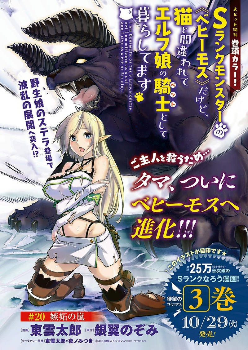 S Rank Monster No Behemoth Dakedo Neko To Machigawarete Erufu Musume No Kishi Pet Toshite Kurashitemasu 20 1