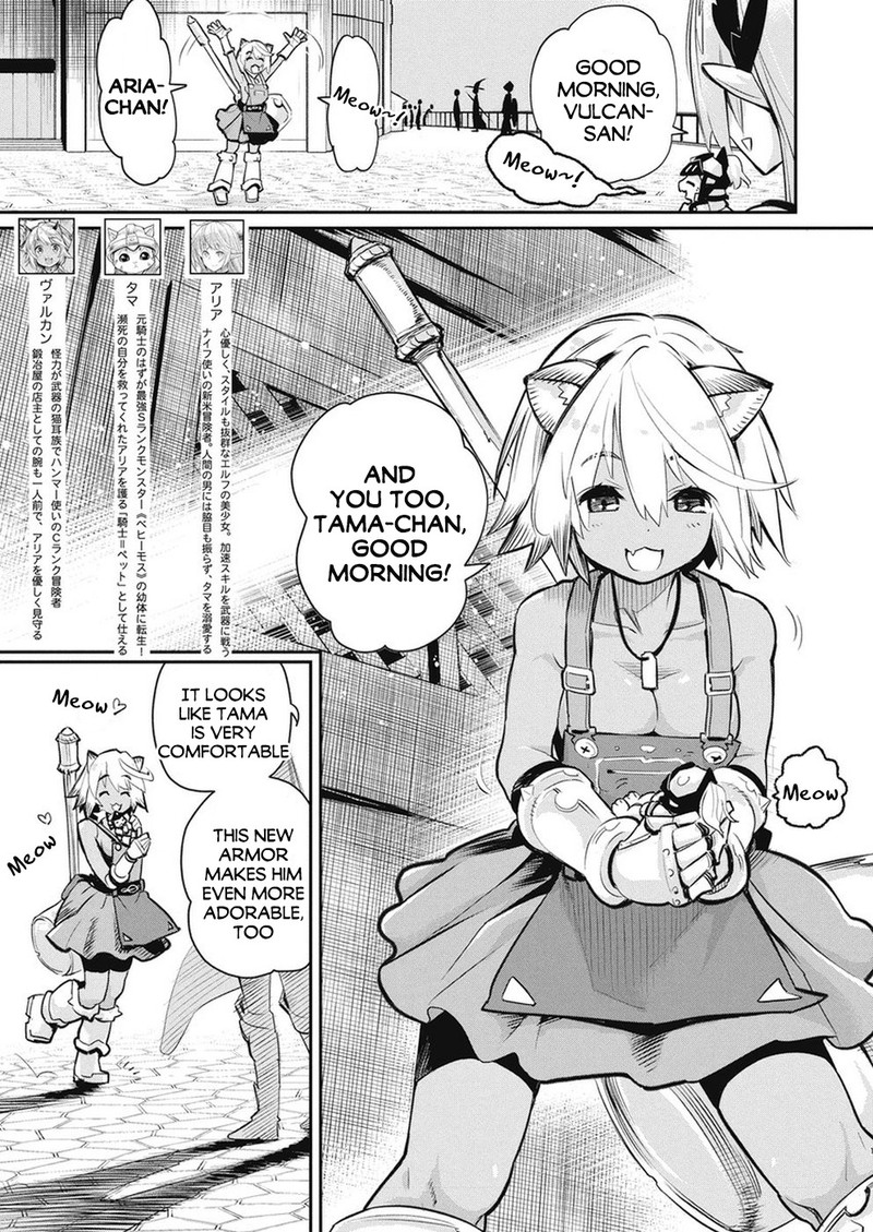 S Rank Monster No Behemoth Dakedo Neko To Machigawarete Erufu Musume No Kishi Pet Toshite Kurashitemasu 20 2
