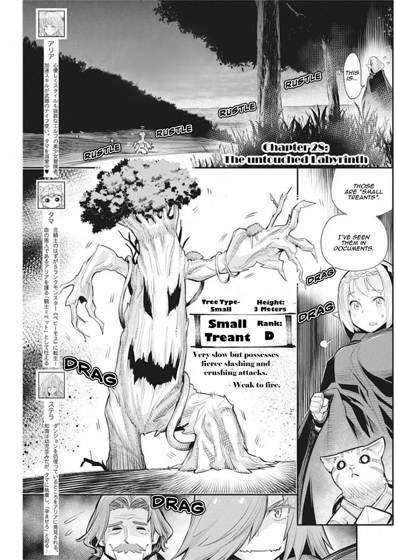 S Rank Monster No Behemoth Dakedo Neko To Machigawarete Erufu Musume No Kishi Pet Toshite Kurashitemasu 28 1