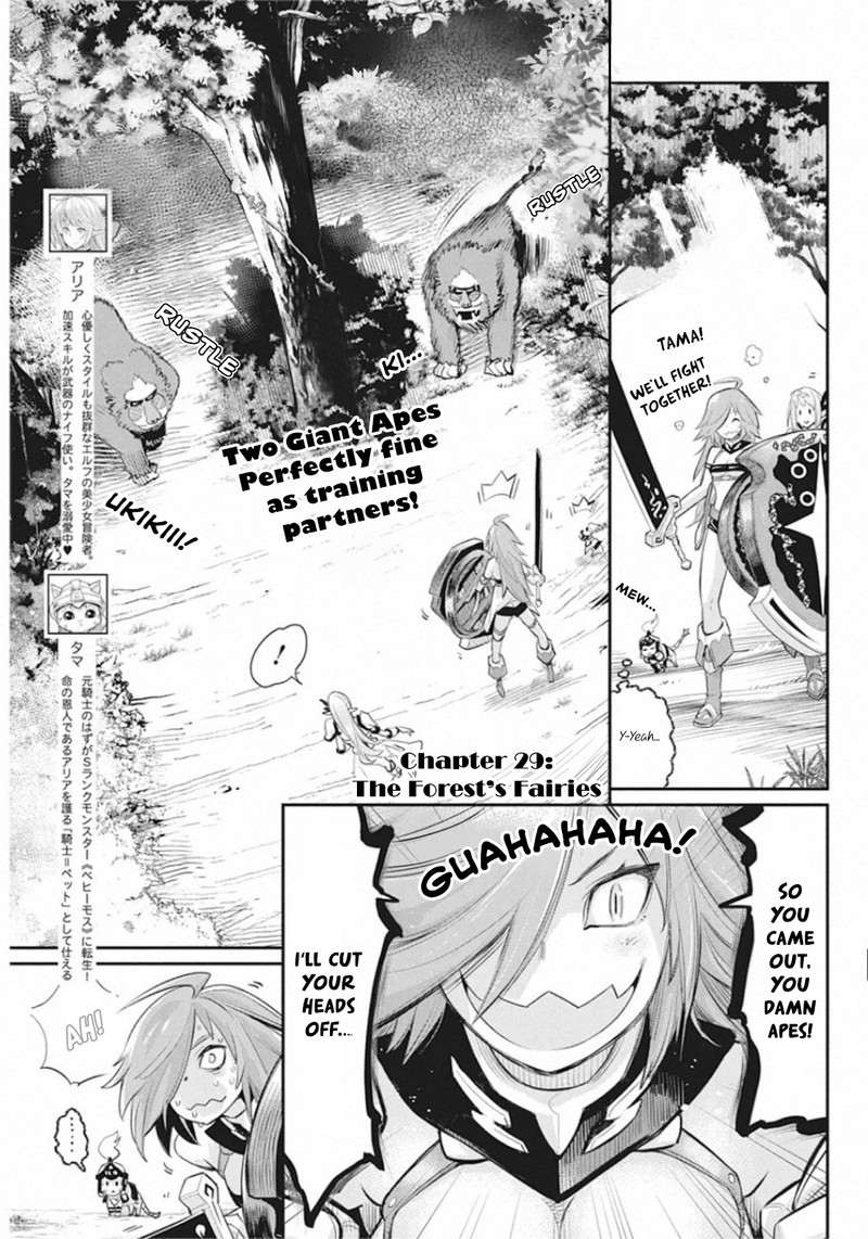 S Rank Monster No Behemoth Dakedo Neko To Machigawarete Erufu Musume No Kishi Pet Toshite Kurashitemasu 29 1