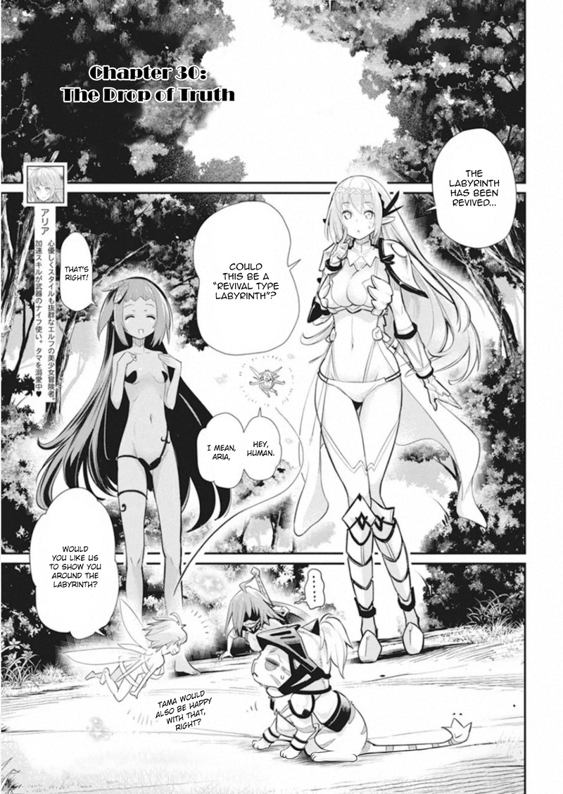S Rank Monster No Behemoth Dakedo Neko To Machigawarete Erufu Musume No Kishi Pet Toshite Kurashitemasu 30 1