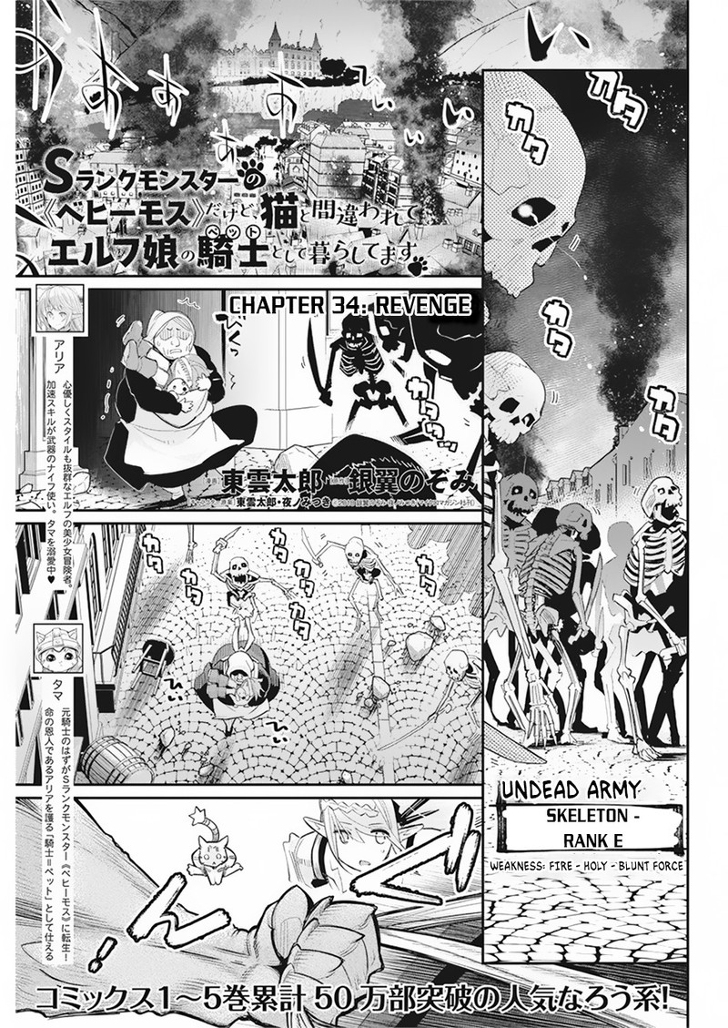 S Rank Monster No Behemoth Dakedo Neko To Machigawarete Erufu Musume No Kishi Pet Toshite Kurashitemasu 34 1