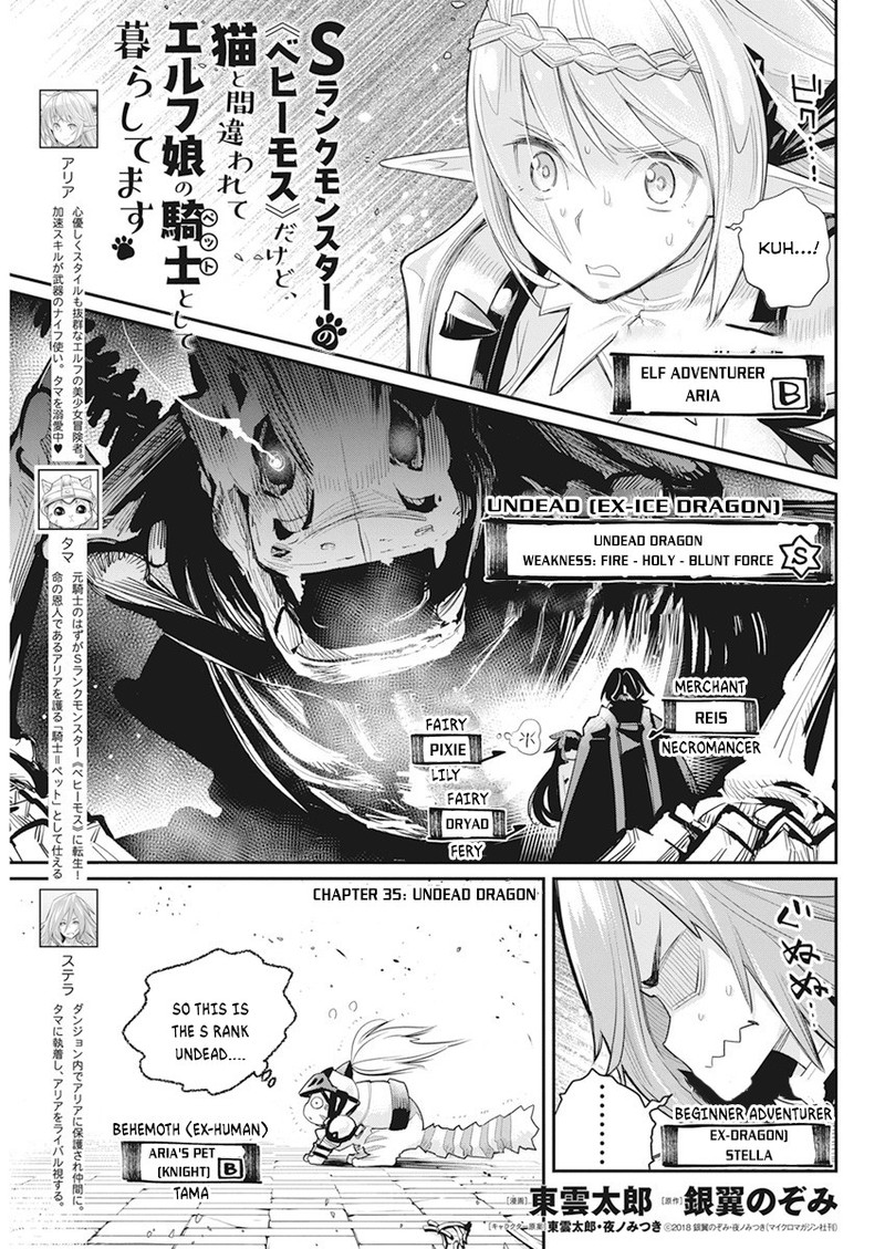 S Rank Monster No Behemoth Dakedo Neko To Machigawarete Erufu Musume No Kishi Pet Toshite Kurashitemasu 35 1