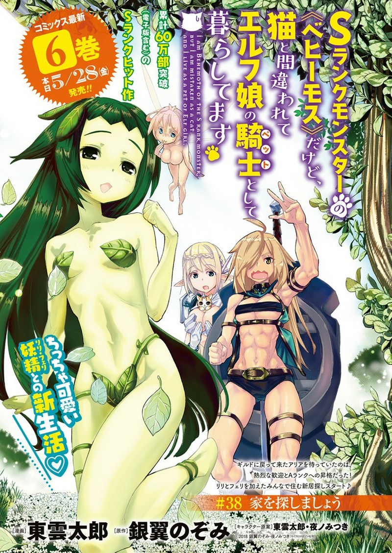 S Rank Monster No Behemoth Dakedo Neko To Machigawarete Erufu Musume No Kishi Pet Toshite Kurashitemasu 38 1