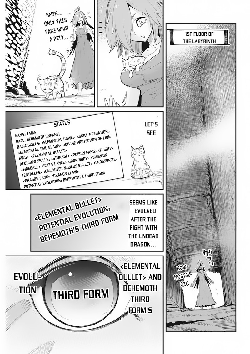 S Rank Monster No Behemoth Dakedo Neko To Machigawarete Erufu Musume No Kishi Pet Toshite Kurashitemasu 39 7