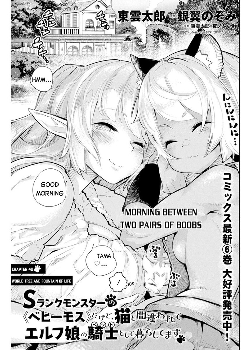 S Rank Monster No Behemoth Dakedo Neko To Machigawarete Erufu Musume No Kishi Pet Toshite Kurashitemasu 40 1