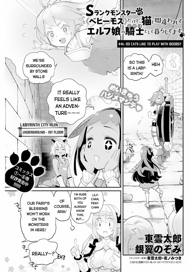S Rank Monster No Behemoth Dakedo Neko To Machigawarete Erufu Musume No Kishi Pet Toshite Kurashitemasu 41 1