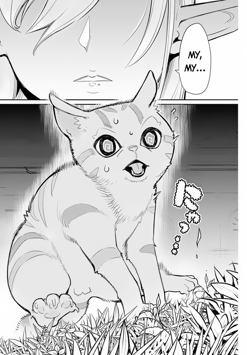 S Rank Monster No Behemoth Dakedo Neko To Machigawarete Erufu Musume No Kishi Pet Toshite Kurashitemasu 47 15