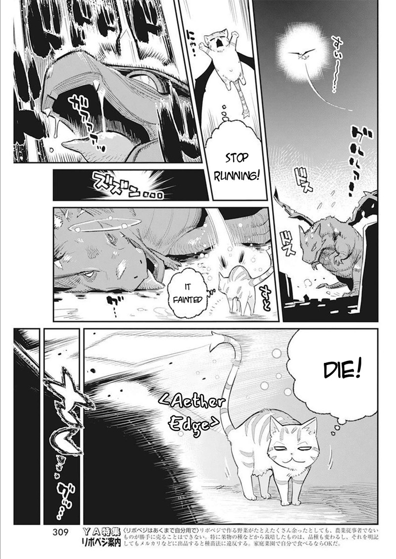 S Rank Monster No Behemoth Dakedo Neko To Machigawarete Erufu Musume No Kishi Pet Toshite Kurashitemasu 52 19